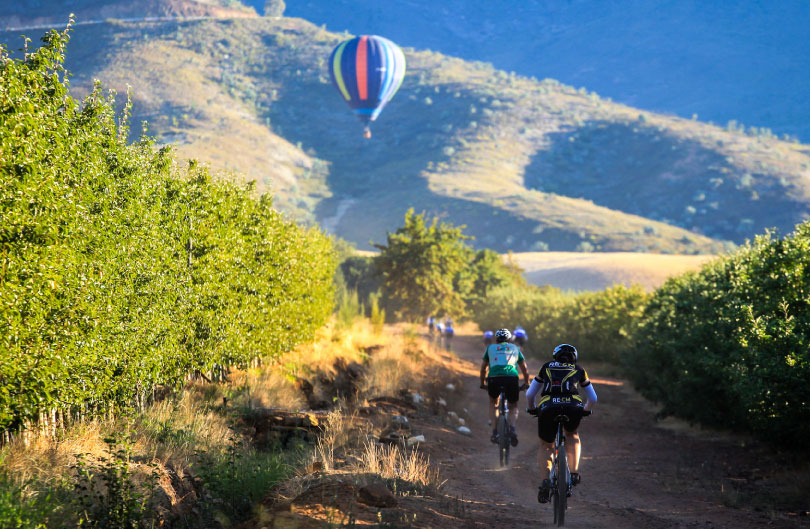 cape_winelands