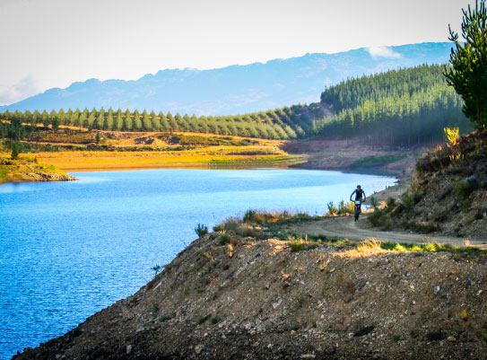 cape_winelands2